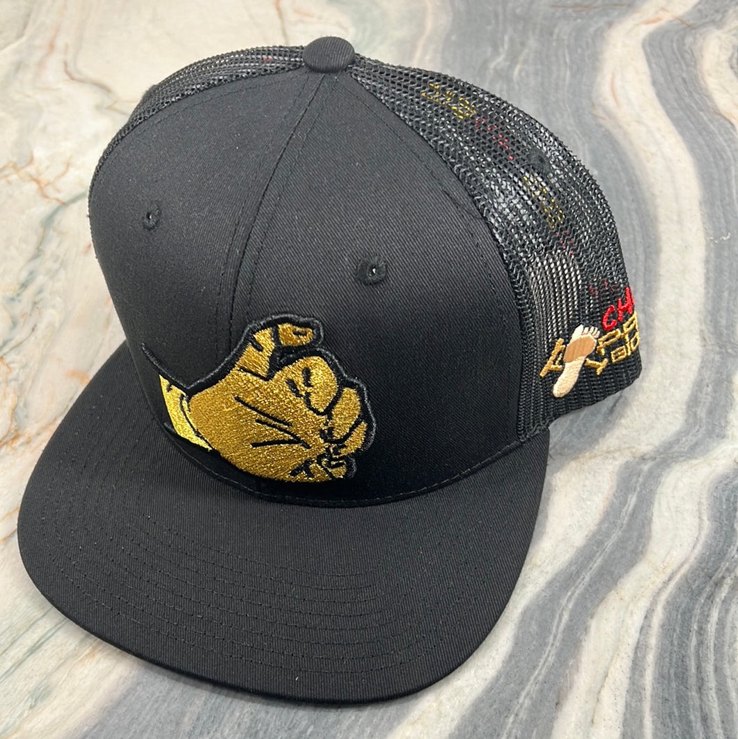 Chuy patabionica snapback hat 🧢