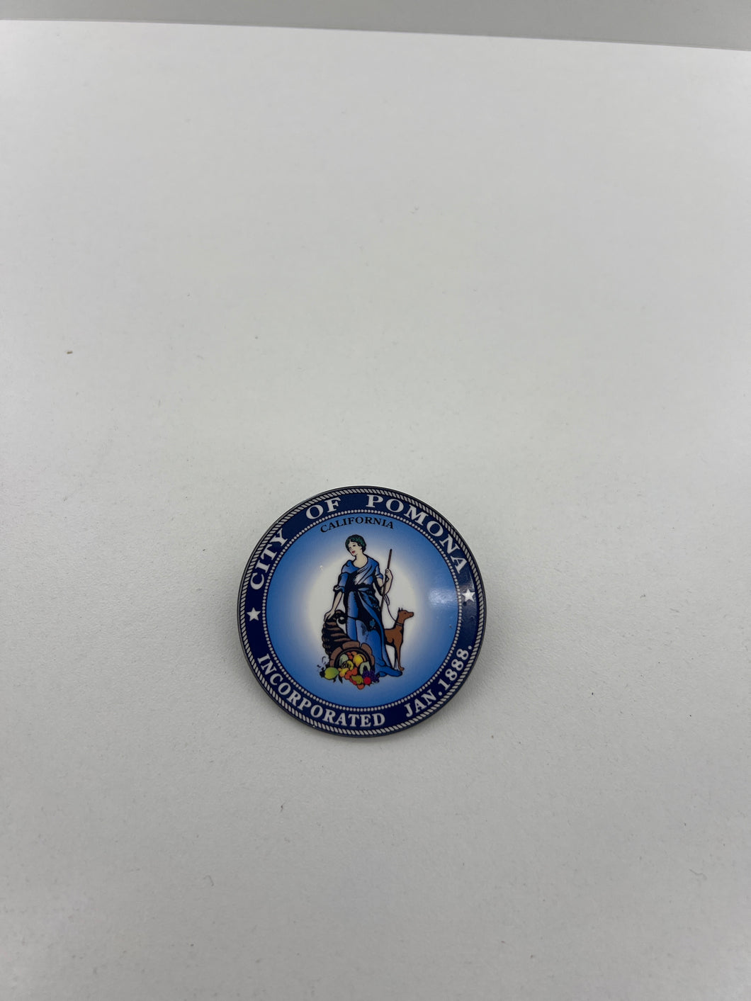Pomona California  Hat 🧢 Pin 📌