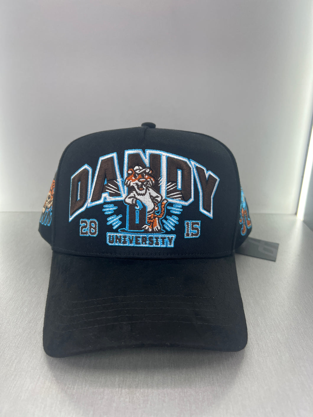 Dandy University snapback exclusive
