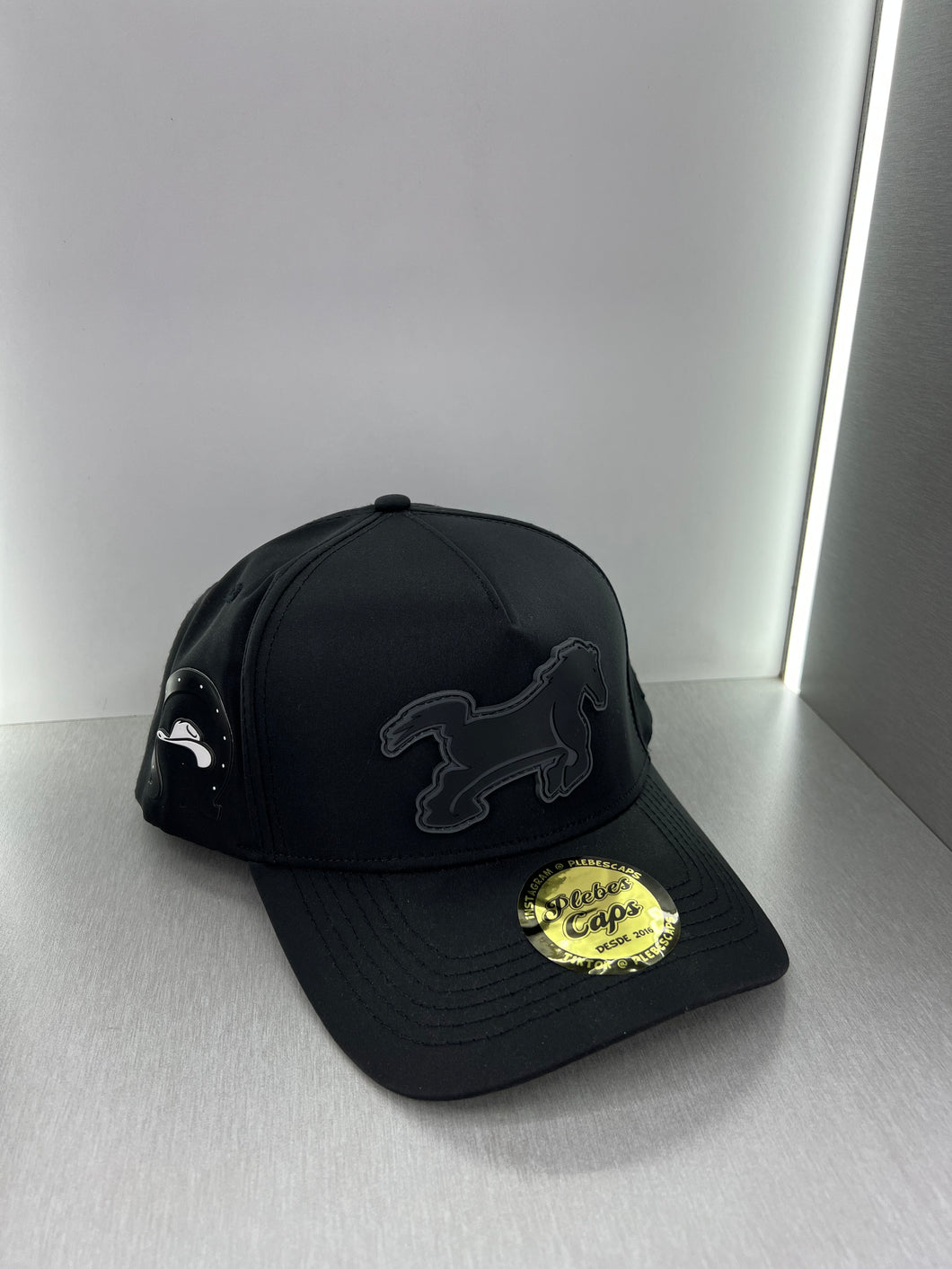 Plebes caps 🧢 all black bronco snapback hat