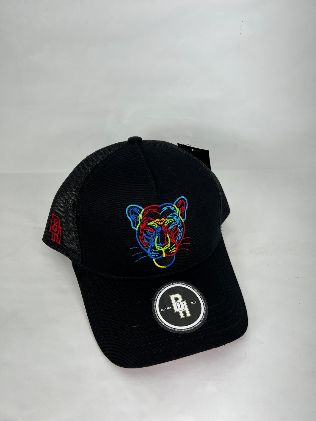 Tiger 🐯 snapback hat 🧢