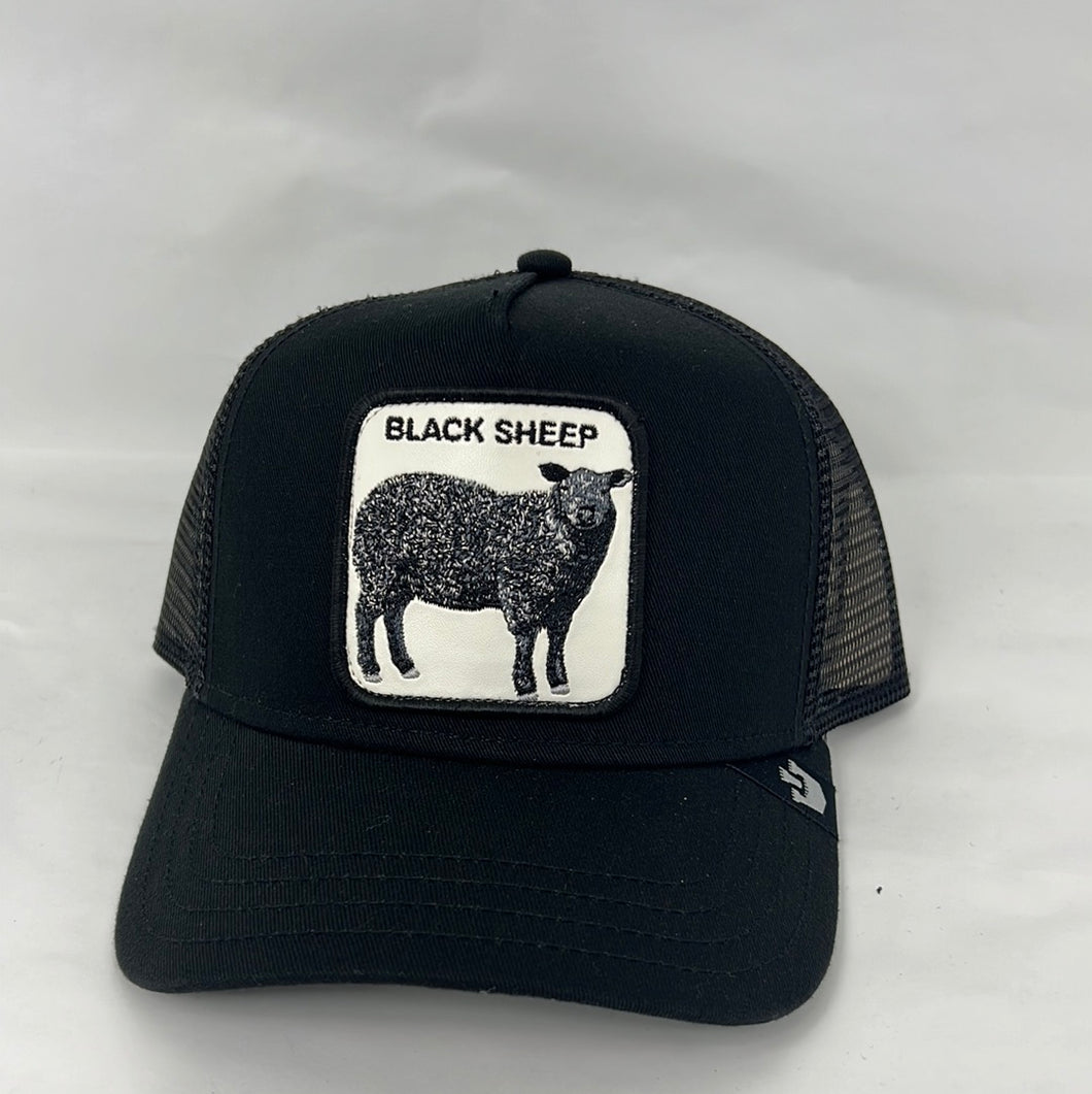 Goorin bros ajustable hat 🧢