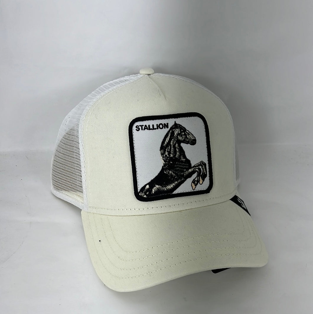 Stallion Goorin bros ajustable hat