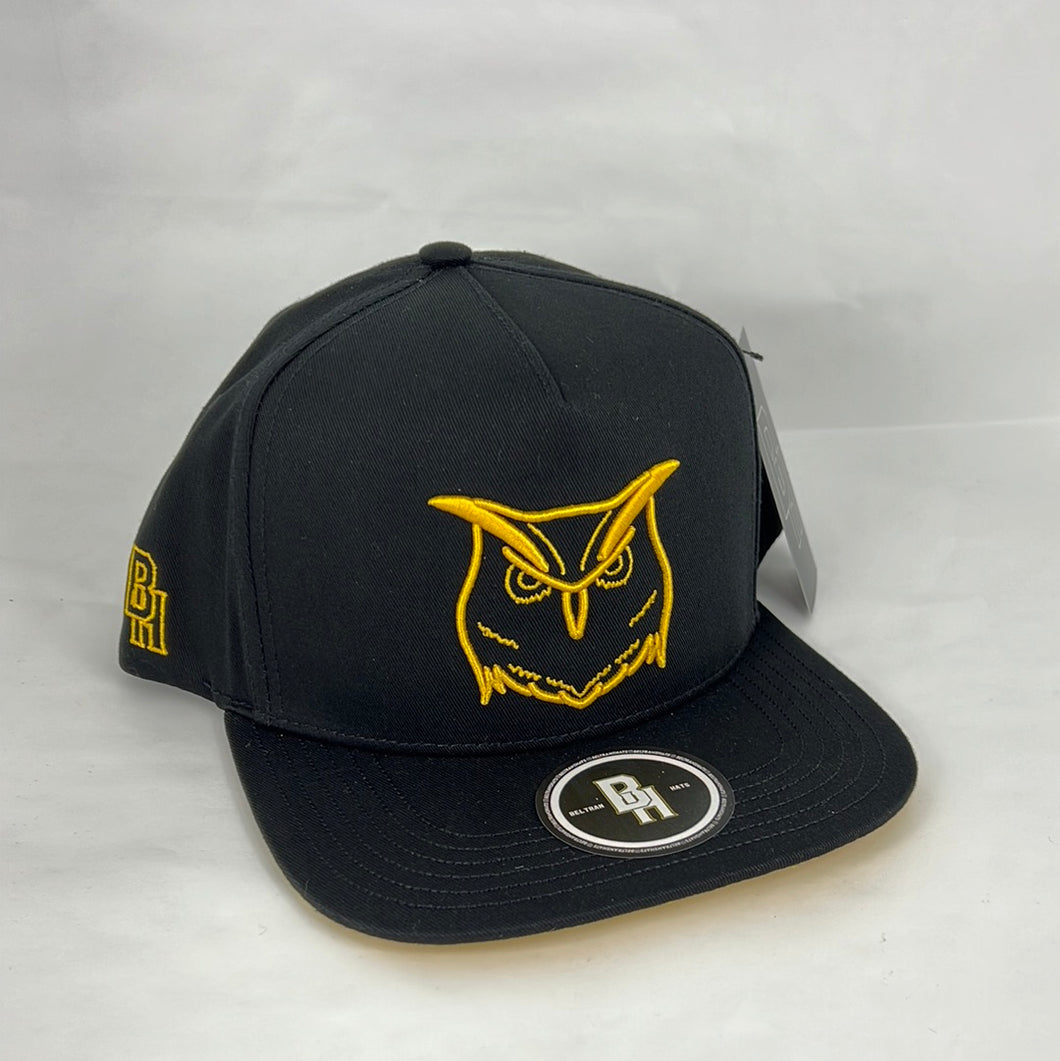 El búho 🦉 snapback hat 🧢