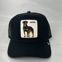 Load image into Gallery viewer, Goorin bros ajustable hat 🧢
